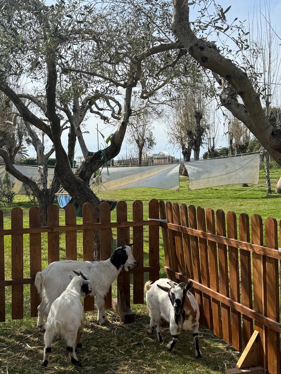 Il Villaggio delle Uova