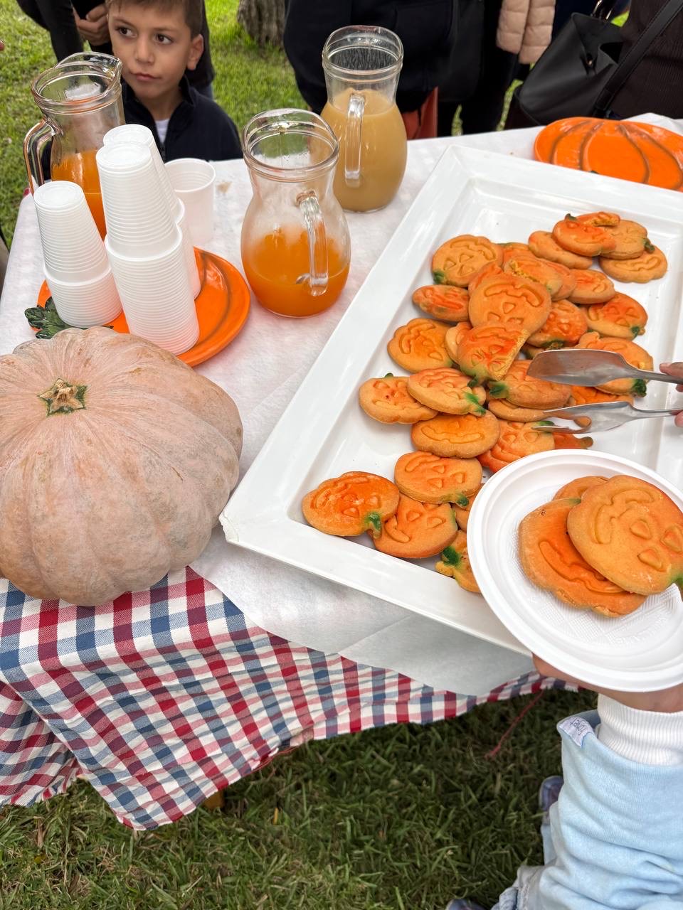 Le Zucche del Giardiniello